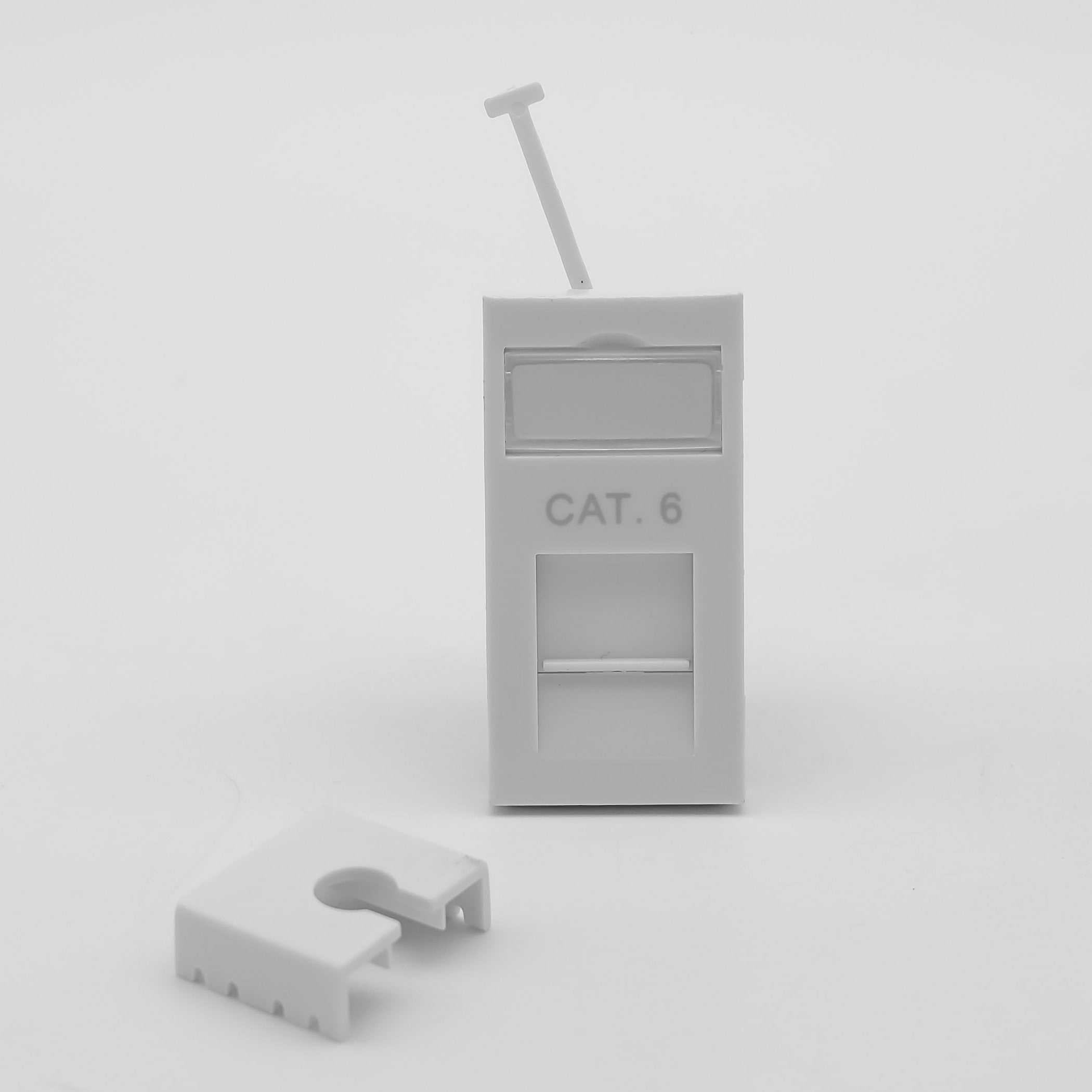 Low Profile CAT6 RJ45 Module (w/Flip Name Plate) - Netbit UK