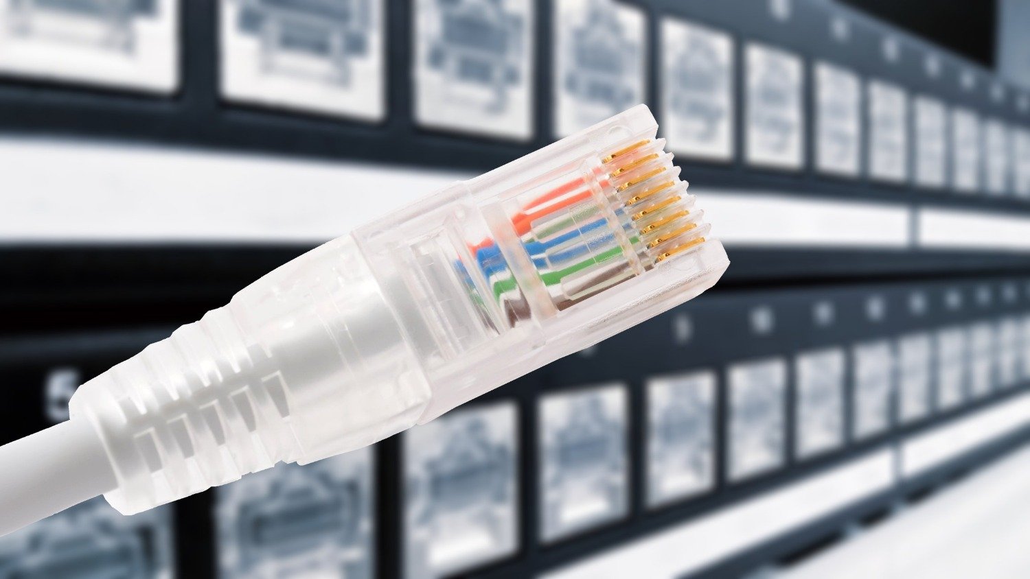 1U 19" 24 Port CAT5E Network Through Coupler Patch Panel (UTP) - Netbit UK